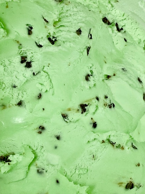 Mint Chocolate Chip Ice Cream